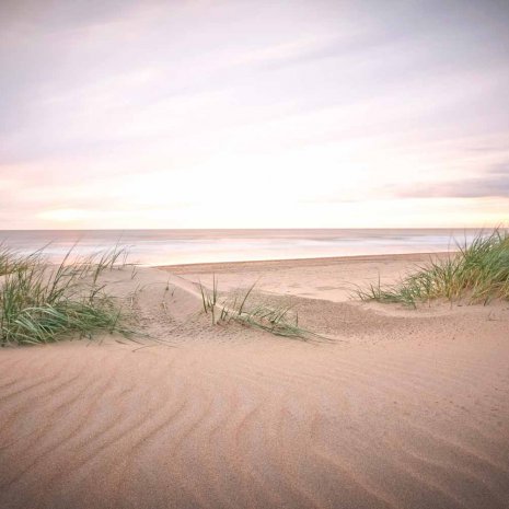 Strandleven 14