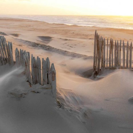 Strandleven