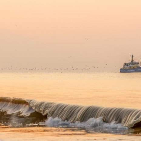 Strandleven