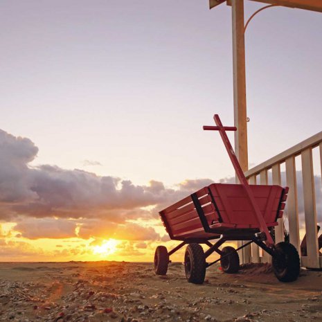 Strandleven