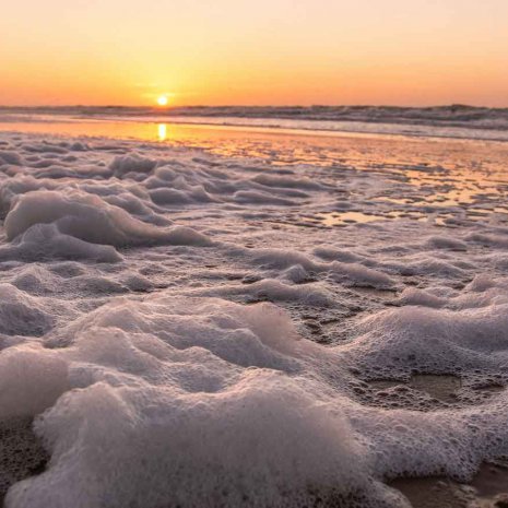 Strandleven