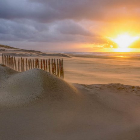 Strandleven