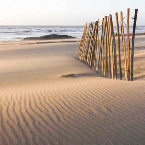 Strandleven