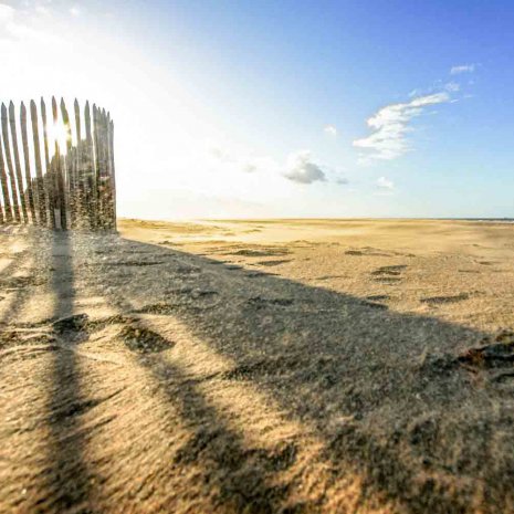 Strandleven-hout