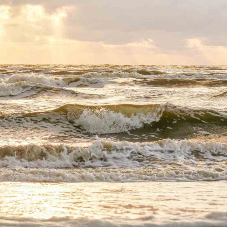 Strandleven