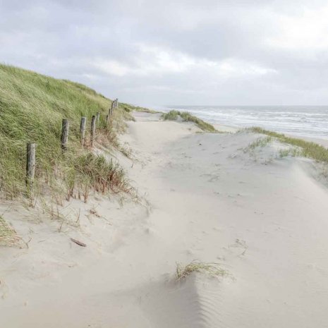 Strandleven