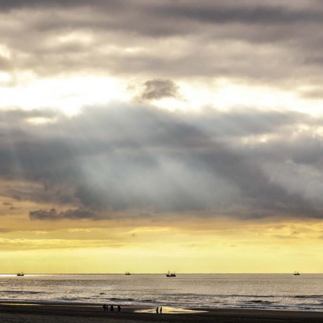 Strandleven