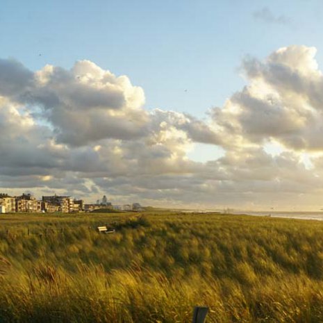 Strandleven