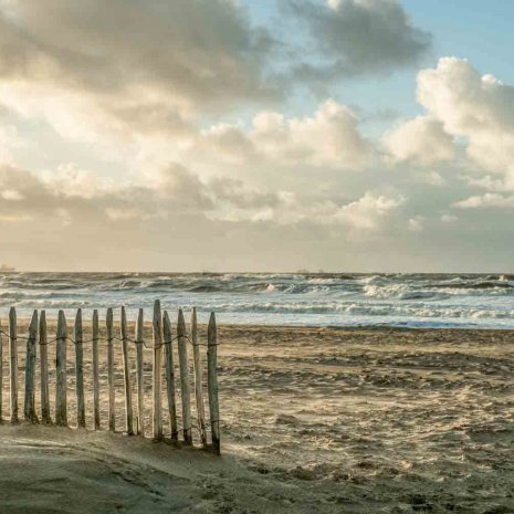 Strandleven