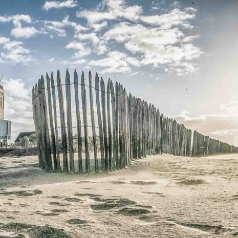 Strandleven-hout
