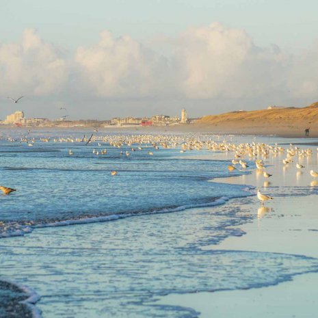 Strandleven