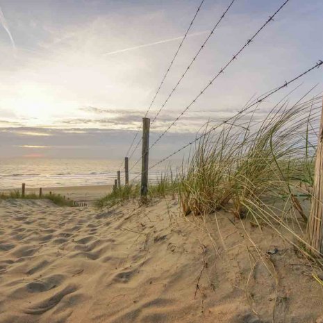 Strandleven