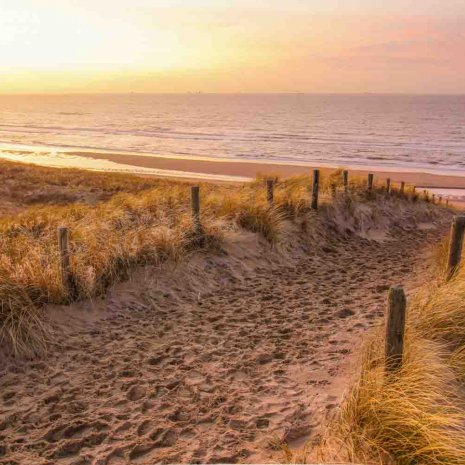 Strandleven