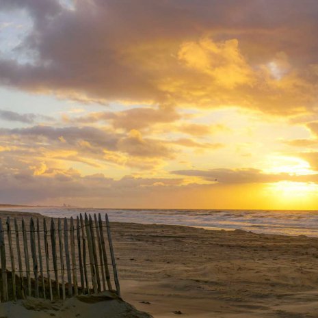 Strandleven