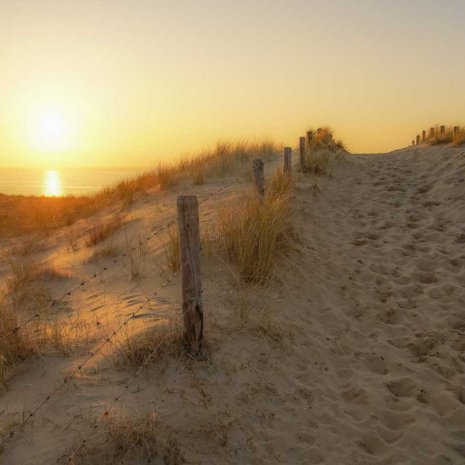 Strandleven