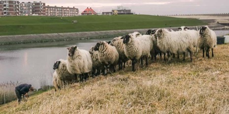 Katwijk