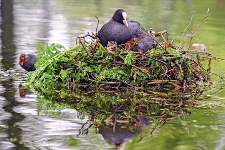 Natuur