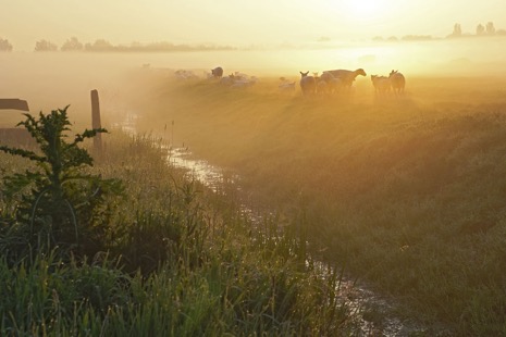 Natuur