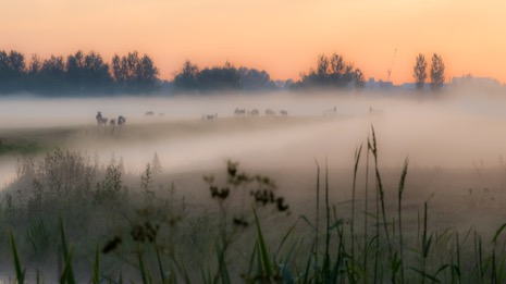 Natuur