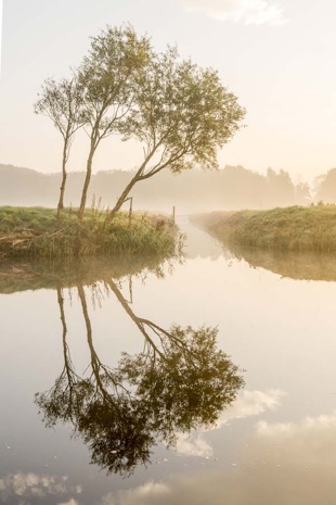 Natuur