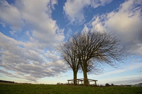 Natuur