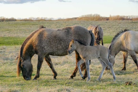 Natuur