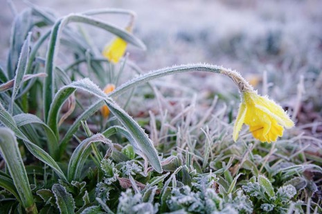 Natuur