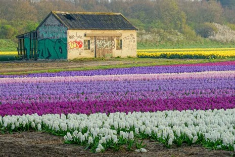 Natuur