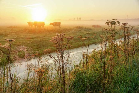 Natuur