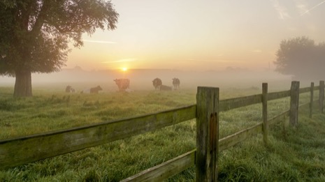 Natuur