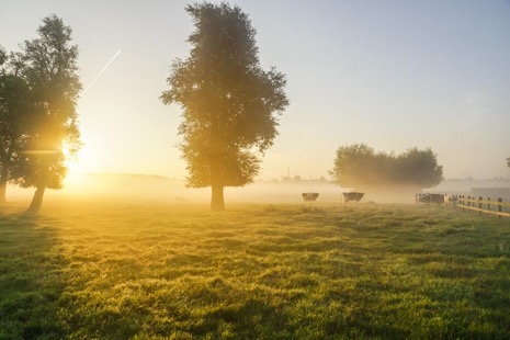 Natuur