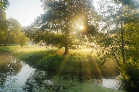 Natuur