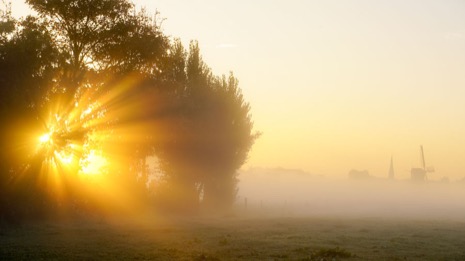 Natuur