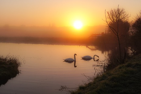 Natuur