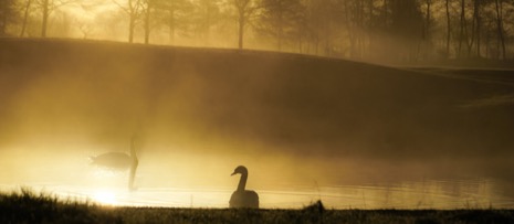 Natuur