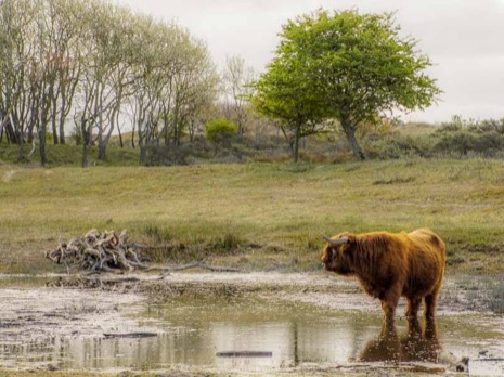 Natuur