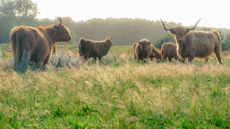 Natuur