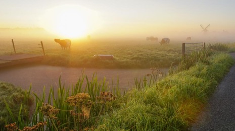 Natuur