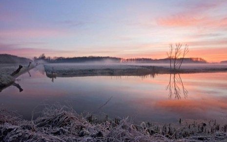 Natuur