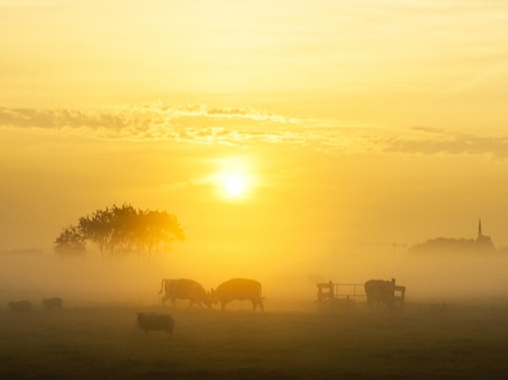 Natuur