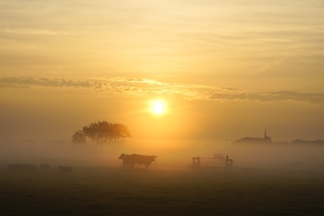 Natuur