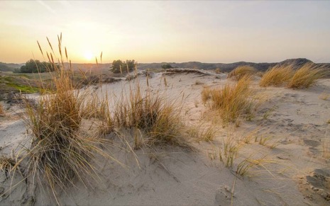 Natuur