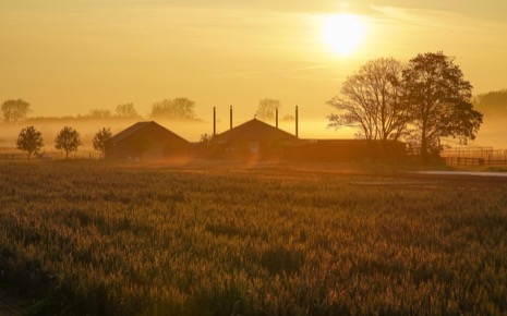 Natuur