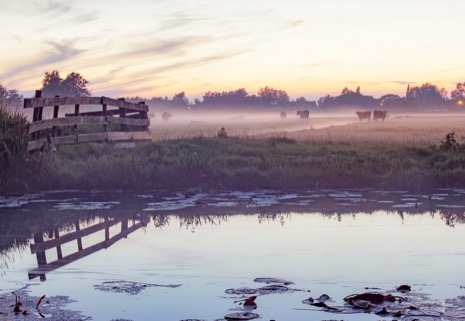 Natuur