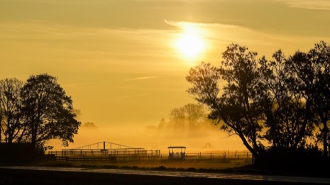 Natuur