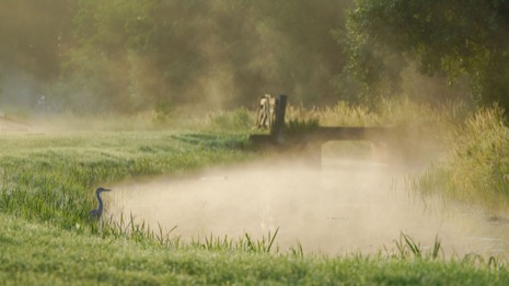 Natuur