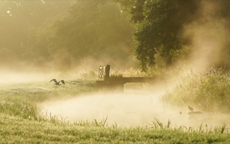 Natuur