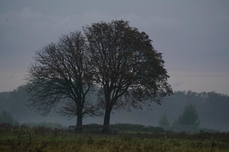 Natuur