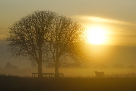 Natuur