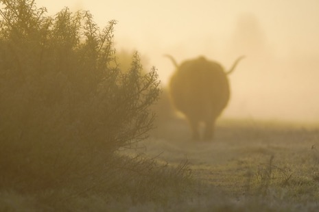 Natuur